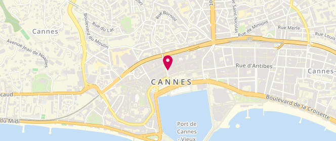 Plan de Transition, 56 Rue Meynadier, 06400 Cannes