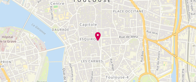 Plan de Lili-Leone, 16 Rue des Tourneurs, 31000 Toulouse