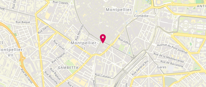 Plan de Zerda, 6 Boulevard de l'Observatoire, 34000 Montpellier
