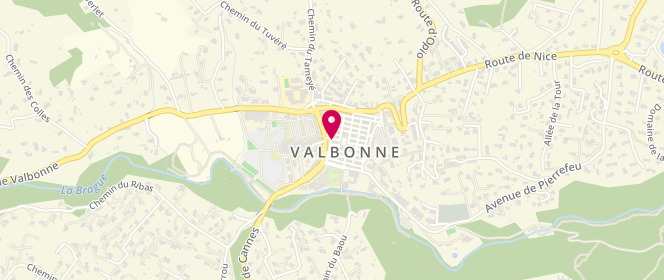 Plan de Capra-Valbonne, Bis
11 Rue de la République, 06560 Valbonne