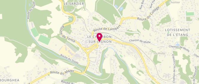 Plan de Jonquille, 4 Route de Saint-Agrève, 43400 Le Chambon-sur-Lignon