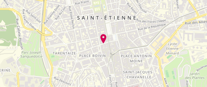 Plan de Lo Coco, 6 Rue Georges Teissier, 42000 Saint-Étienne