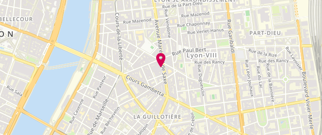 Plan de Mistigriff, 140 avenue Maréchal de Saxe, 69003 Lyon