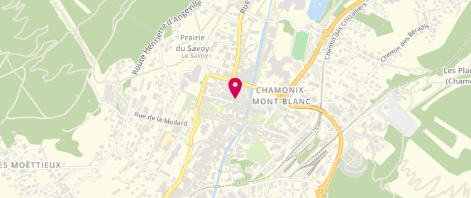 Plan de L'Insoumise, 146 Rue Joseph Vallot, 74400 Chamonix-Mont-Blanc