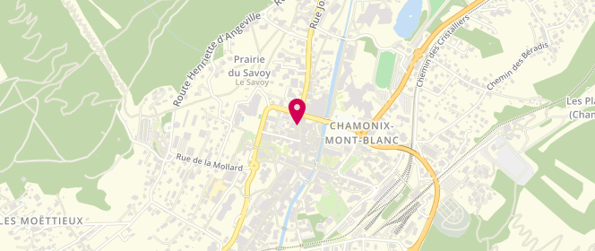 Plan de Not Shy, 159 Rue Joseph Vallot, 74400 Chamonix-Mont-Blanc
