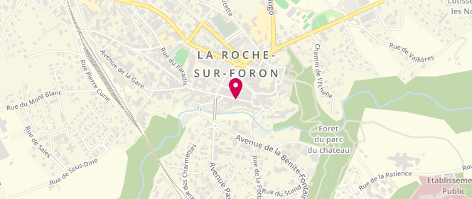 Plan de Coup de Cœur, 100 Rue Perrine, 74800 La Roche-sur-Foron