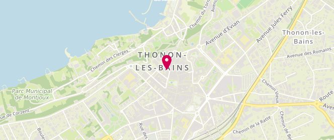 Plan de Histoire d'Homme, 16 Rue Ferdinand Dubouloz, 74200 Thonon-les-Bains