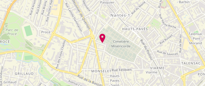 Plan de Pepite, 36 Rue Gabriel Luneau, 44000 Nantes