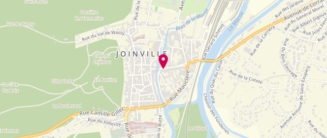 Plan de La Petite Boutique, 47 Rue Aristide Briand, 52300 Joinville