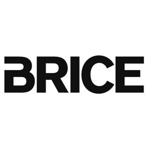 Brice  en Manche