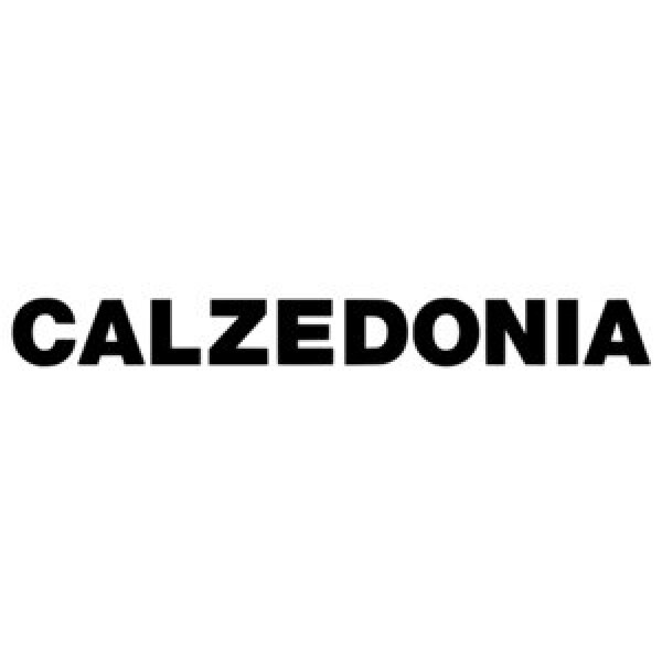Calzedonia  en Gard